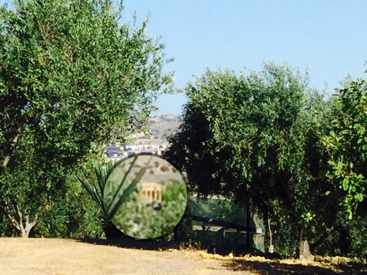 Il Colle Del Rustico Bed & Breakfast Agrigento Dış mekan fotoğraf