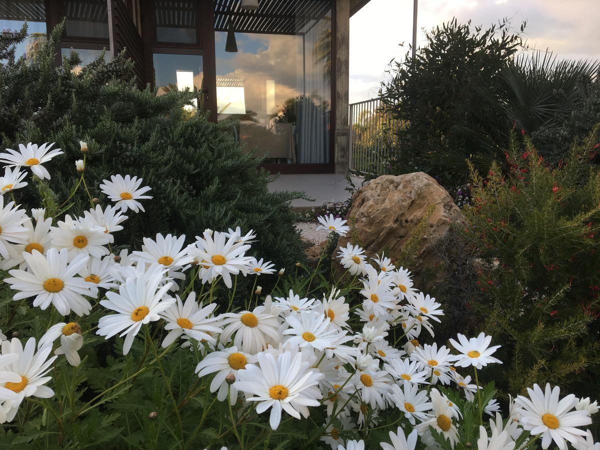 Il Colle Del Rustico Bed & Breakfast Agrigento Dış mekan fotoğraf