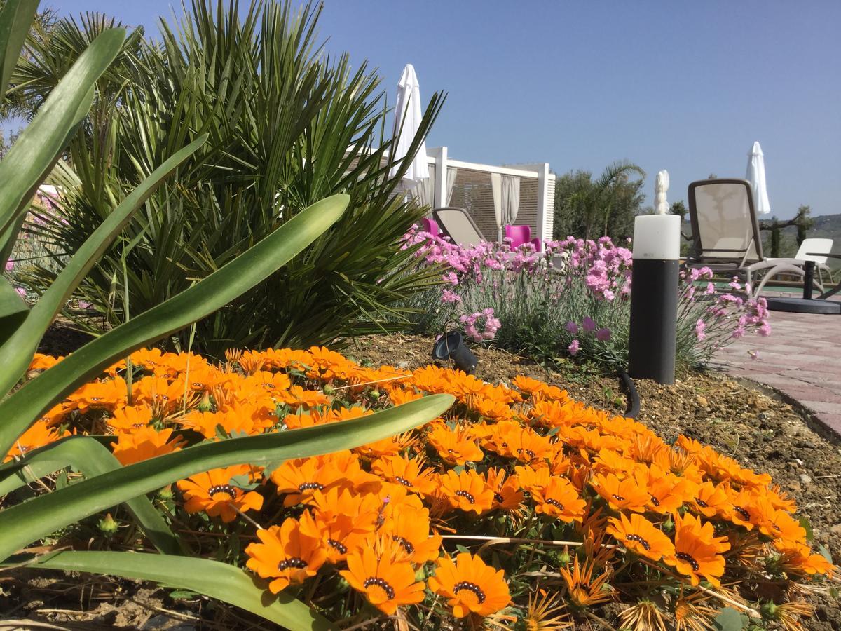 Il Colle Del Rustico Bed & Breakfast Agrigento Dış mekan fotoğraf