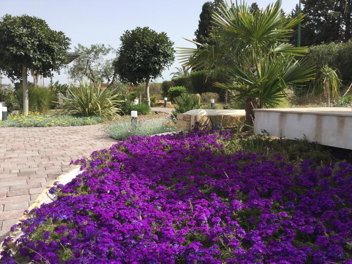 Il Colle Del Rustico Bed & Breakfast Agrigento Dış mekan fotoğraf